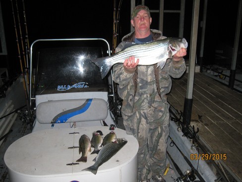 Nice Striped Bass